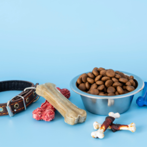 Pet Accessories